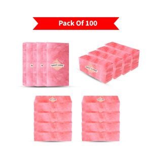 Himalayan Salt Bricks Pack of 100 - Wholesale Salt Bricks for Wall