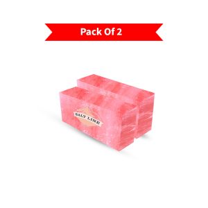 Himalayan Pink Salt Bricks Pack of 2 - Wholesale Pink Salt Bricks